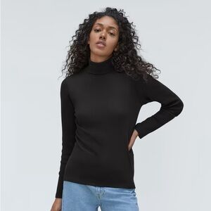 Everlane Pima Micro Rib Longsleeve Turtleneck